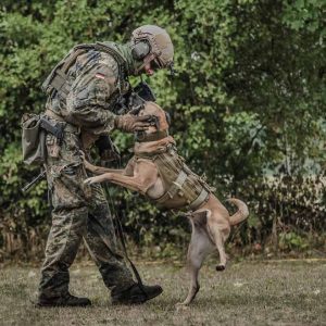 Militaer-Dog-K9