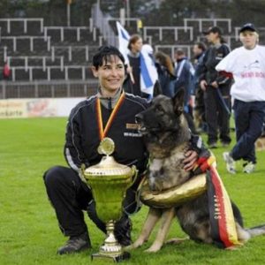 Sharon Ronen Schäferhund
