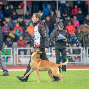 Florian Knabl FMBB