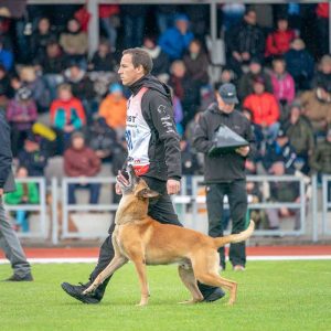 Florian Knabl FMBB